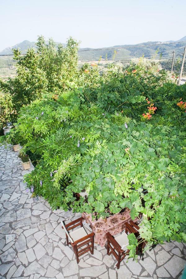 Villa Ilias Pinakokhorion Ngoại thất bức ảnh